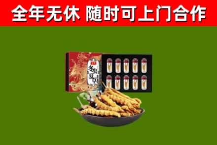 连云港回收冬虫夏草价格